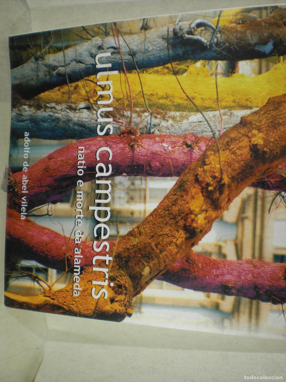 Libros: ULMUS CAMPSETRIS NATIO E MORTE DA ALAMEDA - ADOLFO ABEL VILELA - Foto 1