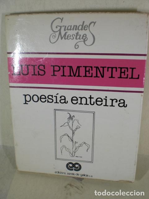 Libros: POESIA ENTEIRA - LUIS PIMENTEL - Foto 1