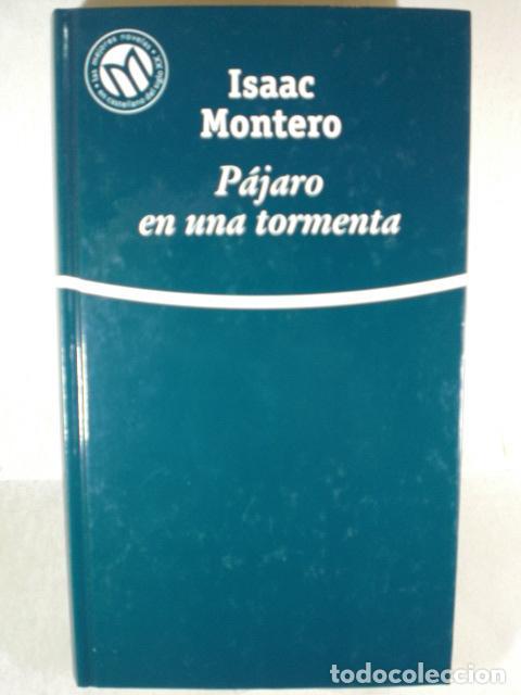 Libros: PAJARO EN UNA TORMENTA - ISAAC MONTERO - Foto 1