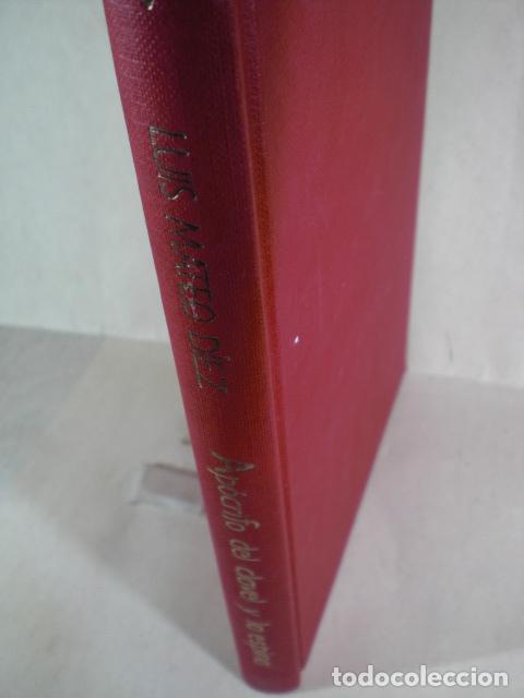 Libros: APOCRIFO DEL CLAVEL Y LA ESPINA - LUIS MATEO DIEZ - Foto 1