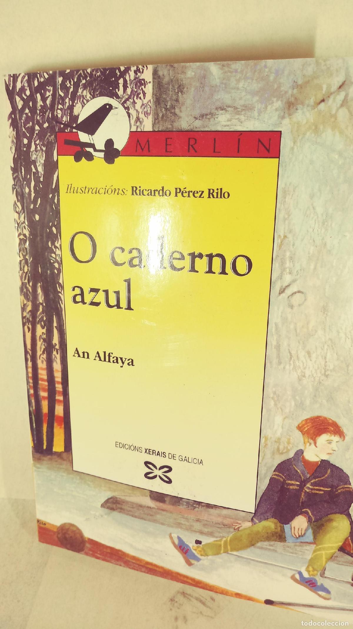 Libros: O CADERNO AZUL - AN ALFAYA - Foto 1