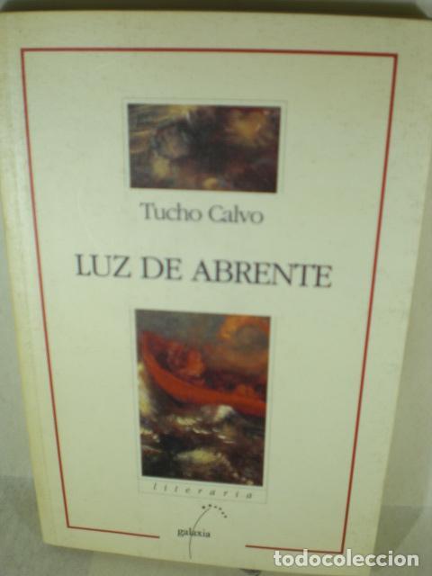 Libros: LUZ DE ABRENTE - TUCHO CALVO - Foto 1