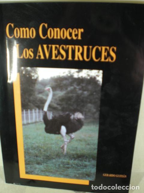 Libros: COMO CONOCER LOS AVESTRUCES - GERARDO GUITIAN - Foto 1