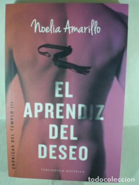 Libros: EL APRENDIZ DEL DESEO - NOELIA AMARILLO - Foto 1