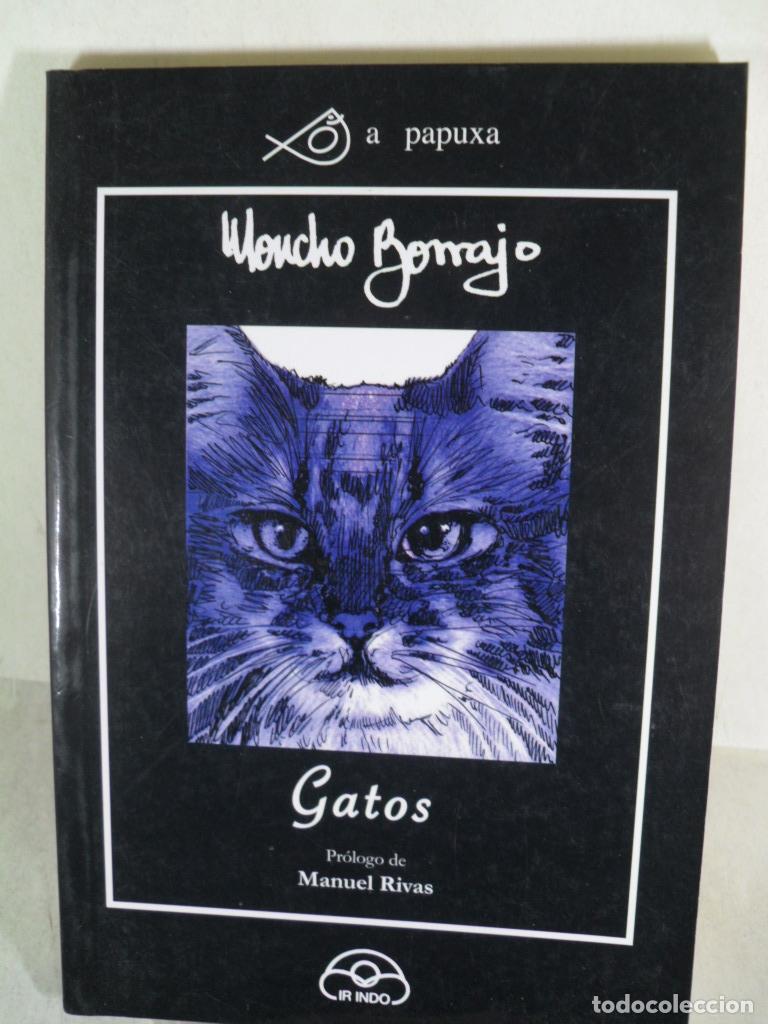 Libros: GATOS - MONCHO BORRAJO - Foto 1