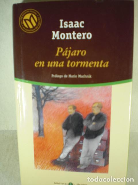 Libros: PAJARO EN UNA TORMENTA - ISAAC MONTERO - Foto 1
