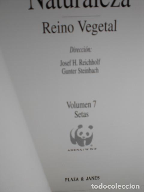 Libros: SETAS - REICHHOLF - STEINBACH - Foto 1