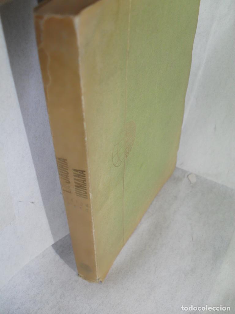 Libros: LA JAURIA HUMANA - HORTON FOOTE - Foto 1