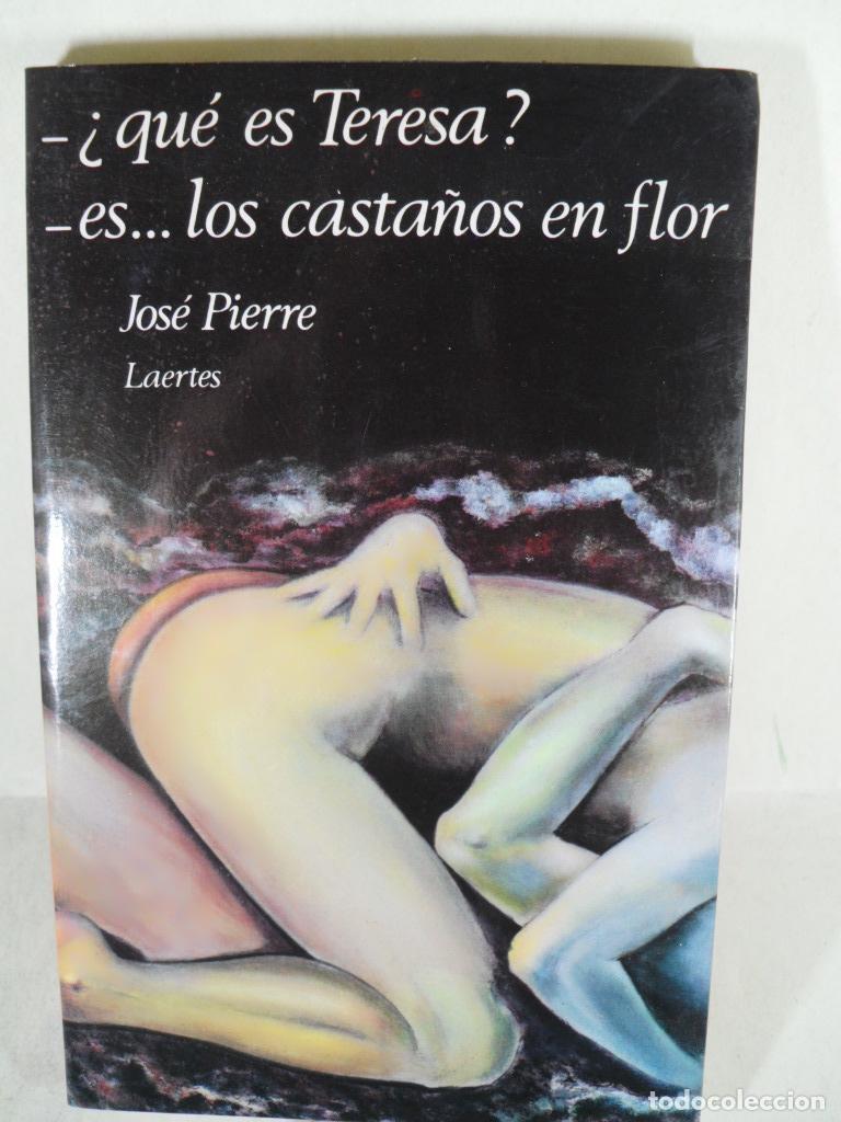 Libros: &iquest; QUE ES TERESA ? ES ... LOS CASTA&Ntilde;OS EN FLOR - JOSE PIERRE - Foto 1