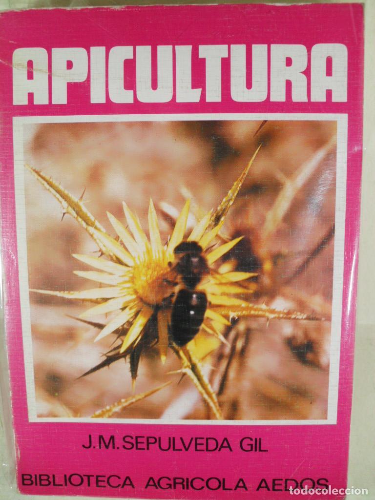 Libros: APICULTURA - J M SELPUVEDA GIL - Foto 1