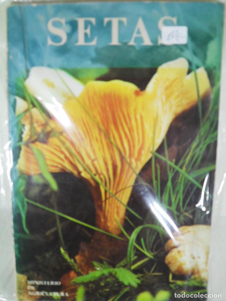 Libros: SETAS - JOSE MANUEL PERALA SANTOLARIA - Foto 1