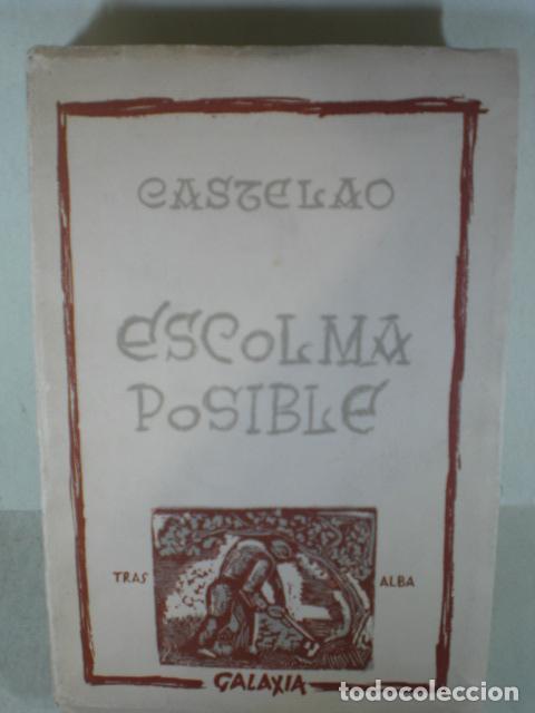 Libros: ESCOLMA POSIBLE - CASTELAO - Foto 1