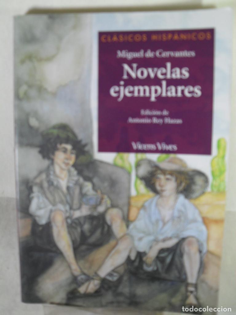 Libros: NOVELAS EJEMPLARES - MIGUEL DE CERVANTES SAAVEDRA - Foto 1