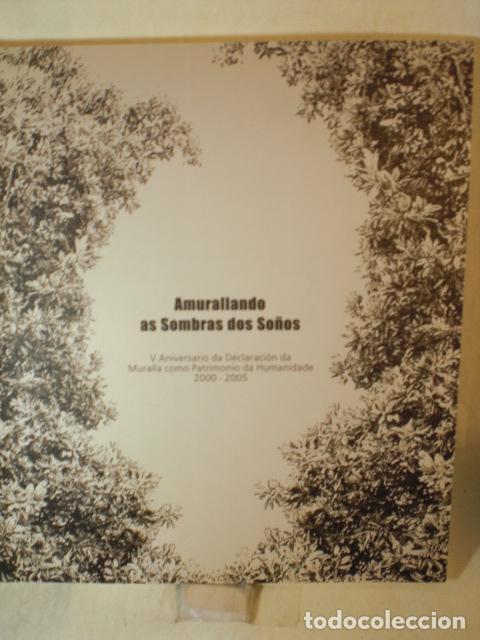 Libros: AMURALLANDO AS SOMBRA DOS SO&Ntilde;OS - VARIOS - Foto 1