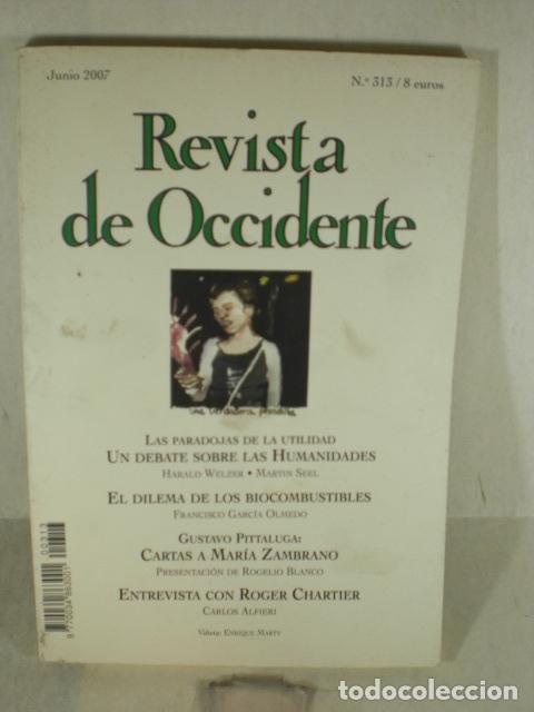 Libros: REVISTA DE OCCIDENTE N&ordm;313 - VARIOS - Foto 1