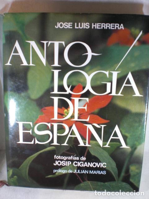 Libros: ANTOLOGIA DE ESPA&Ntilde;A - JOSE LUIS HERRERA - Foto 1