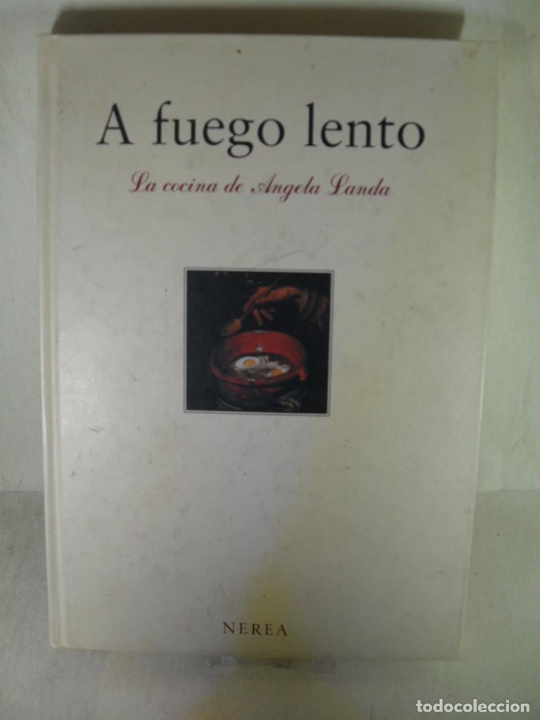 Libros: A FUEGO LENTO - ANGELA LANDA - Foto 1