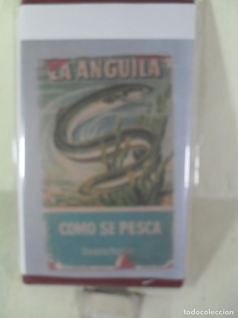 Libros: LA ANGUILA COMO SE PESCA - RAYMOND PERRETT - Foto 1