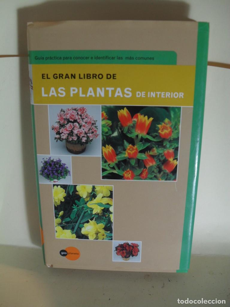 Libros: EL GRAN LIBRO DE LAS PLANTAS DE INTERIOR - MARIA TERESA DELLA BEFFA - Foto 1