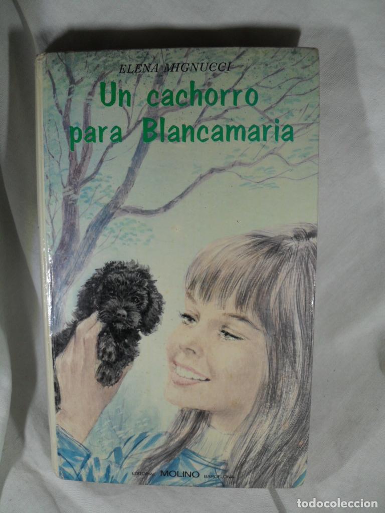 Libros: UN CACHORRO PARA BLANCAMARIA - ELENA MIGNUCCI - Foto 1