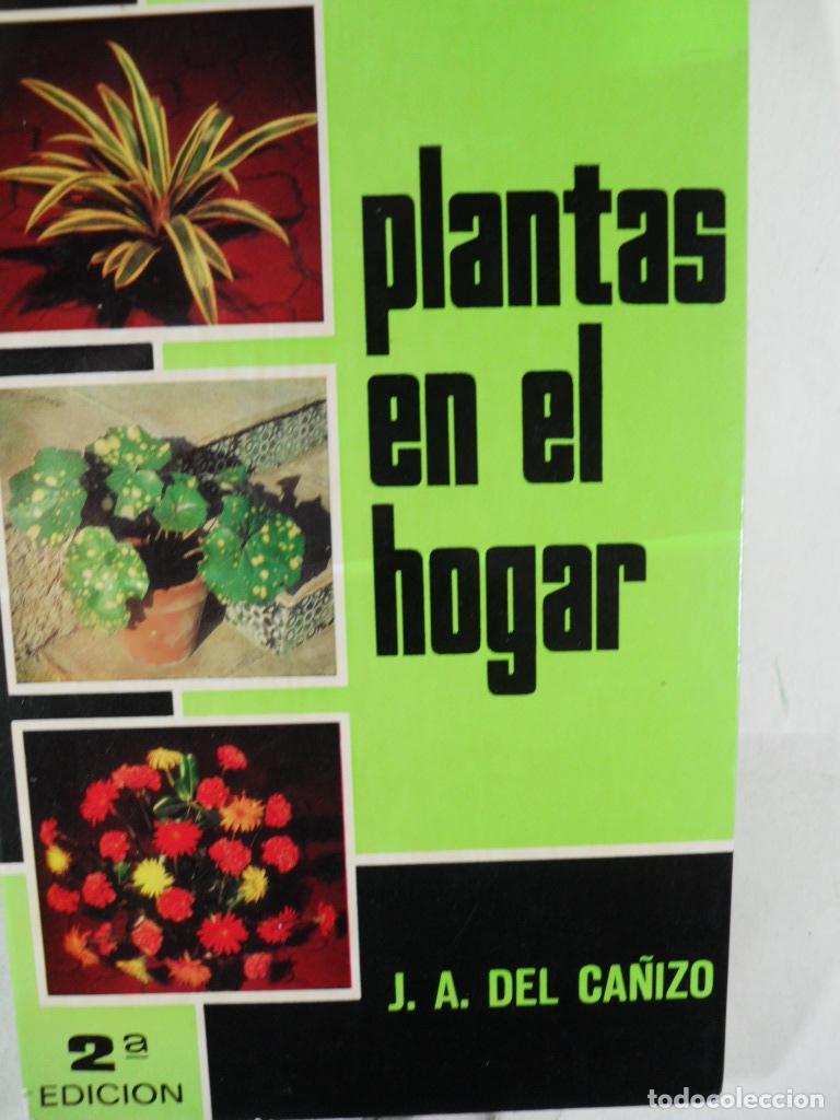 Libros: PLANTAS EN EL HOGAR - J A DEL CA&Ntilde;IZO - Foto 1