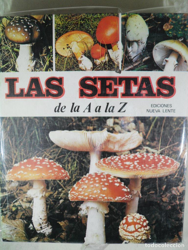 Libros: LAS SETAS 2 VOLUMENES - VARIOS - Foto 1