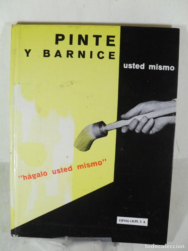 Libros: PINTE Y BARNICE - LOUIS MORREEL - Foto 1