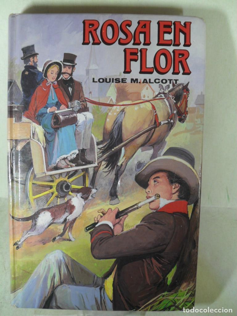 Libros: ROSA EN FLOR - LOUISE MAY ALCOTT - Foto 1