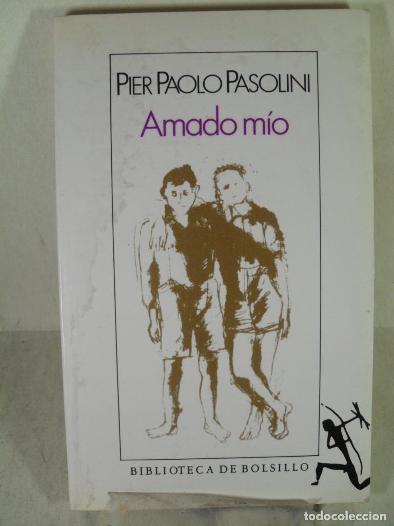 Libros: AMADO MIO - PIER PAOLO PASOLINI - Foto 1