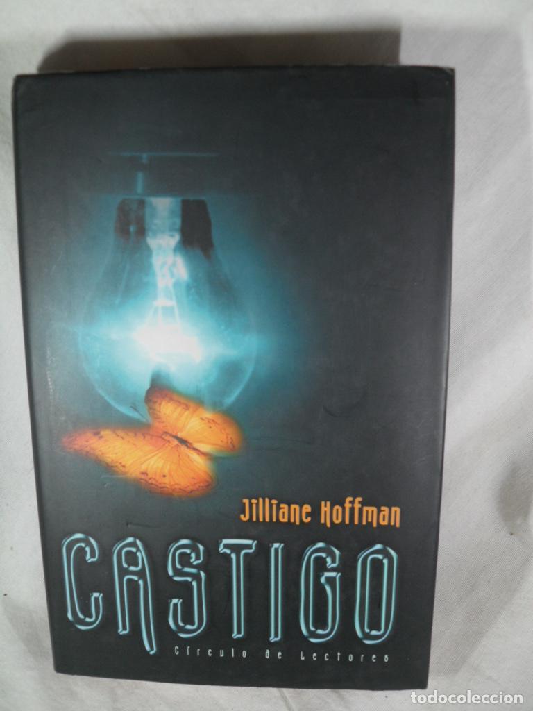 Libros: CASTIGO - JILLIANE HOFFMAN - Foto 1