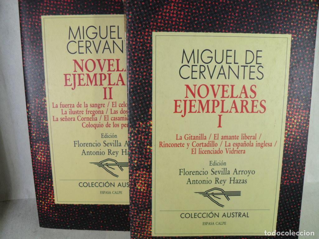 Libros: NOVELAS EJEMPLARES - MIGUEL DE CERVANTES SAAVEDRA - Foto 1