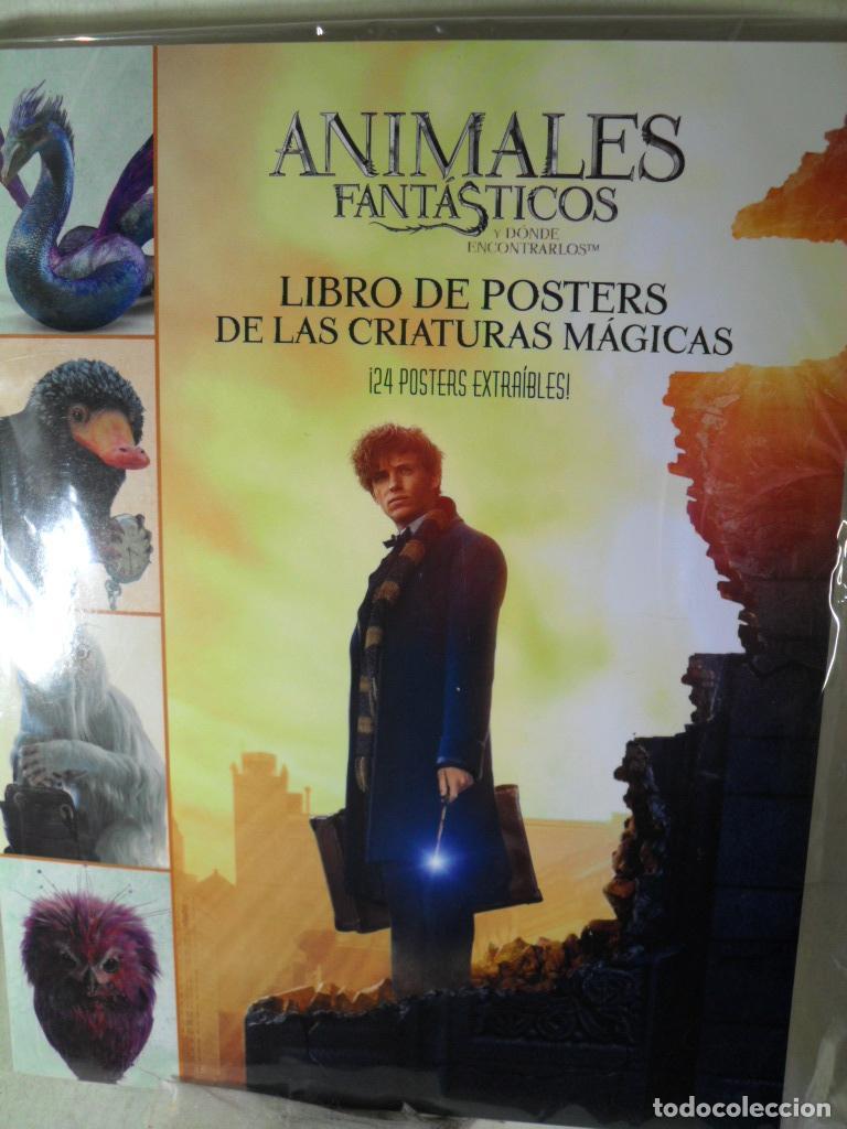 Libros: ANIMALES FANTASTICOS - WARNER BROSS - Foto 1