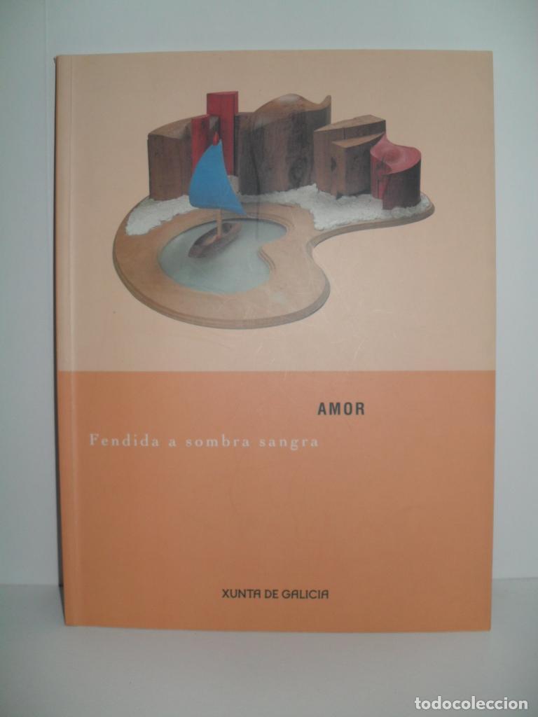 Libros: AMOR FENDIDA A SOMBRA SANGRA - VARIOS - Foto 1