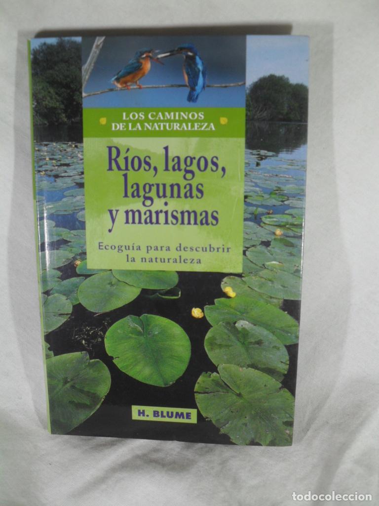 Libros: RIOS LAGOS Y MARISMAS - VARIOS - Foto 1
