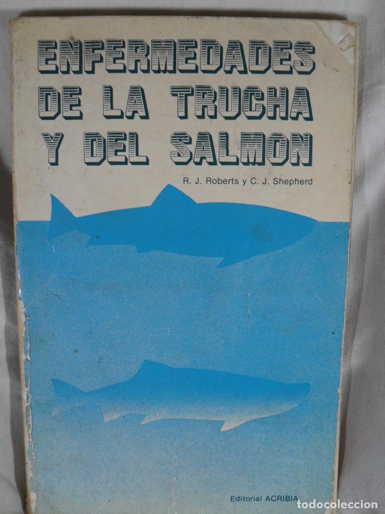 Libros: ENFERMEDADES DE LA TRUCHA Y DEL SALMON - ROBERTS - SHEPHERD - Foto 1