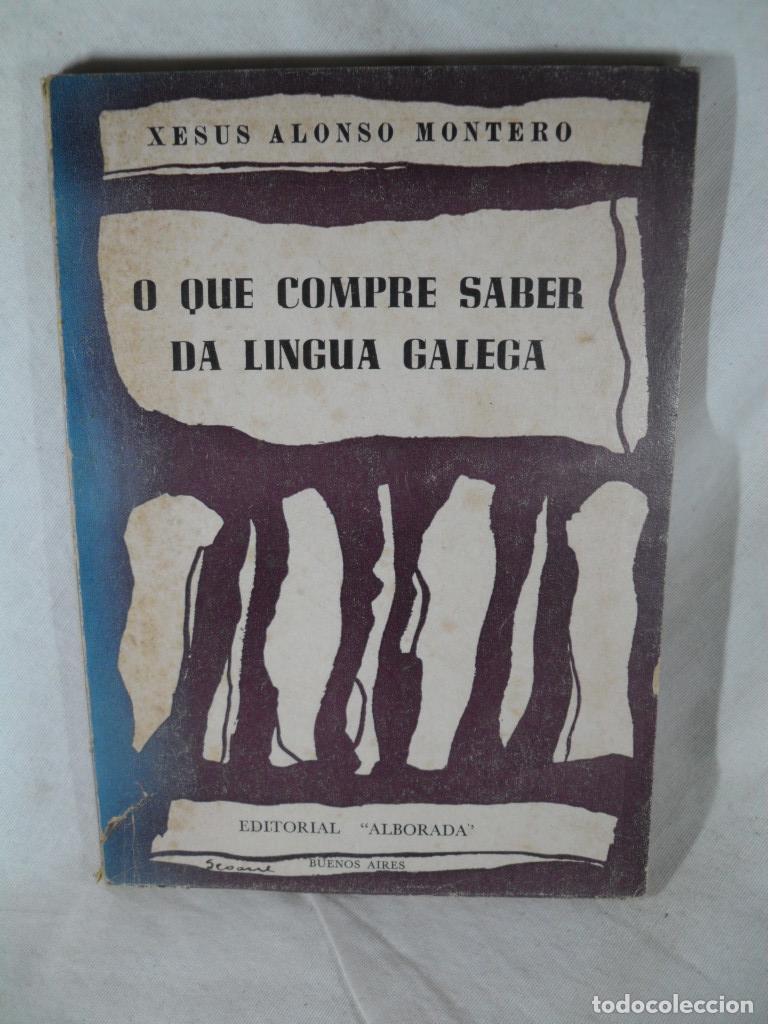 Libros: O QUE COMPRE SABER DA LINGUA GALEGA - XESUS ALONSO MONTERO - Foto 1