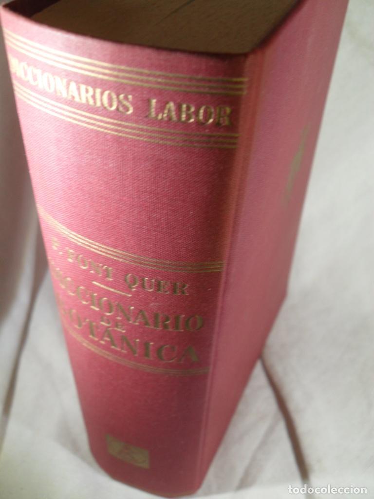 Libros: DICCIONARIO DE BOTANICA - PIO FONT QUER - Foto 1