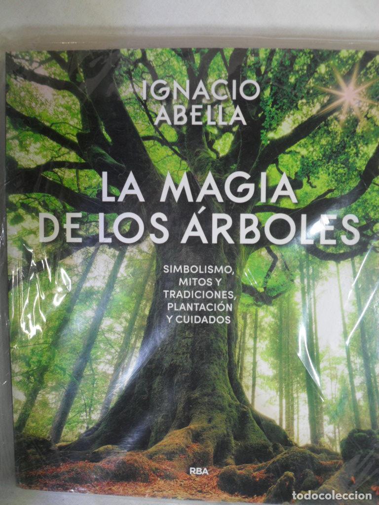 Libros: LA MAGIA DE LOS ARBOLES - IGNACIO ABELLA - Foto 1