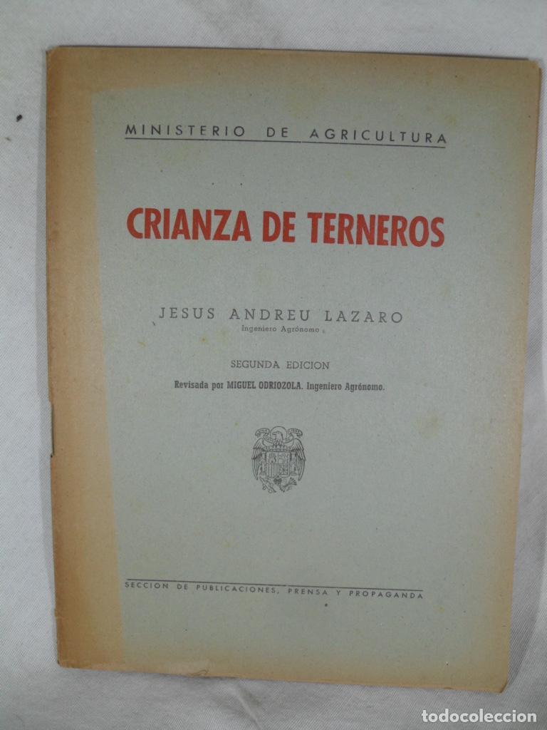 Libros: CRIANZA DE TERNEROS - JESUS ANDREU LAZARO - Foto 1