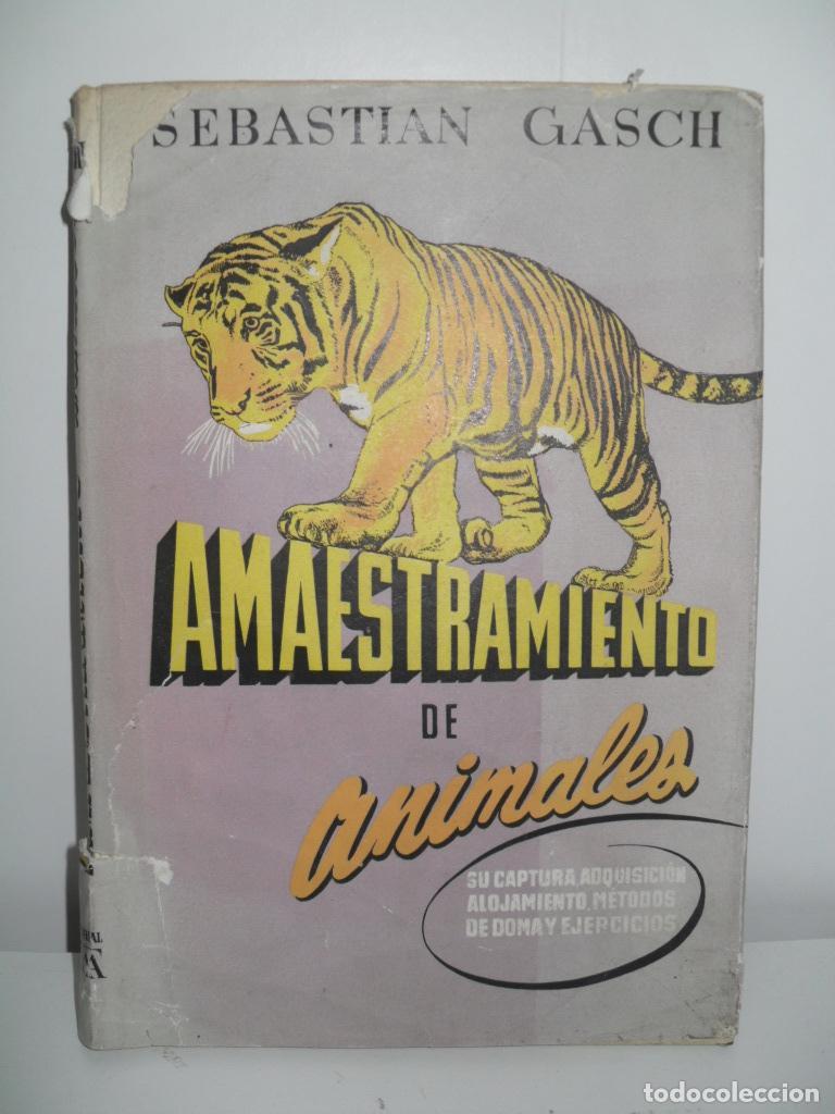Libros: AMAESTRAMIENTO DE ANIMALES - SEBASTIAN GASCH - Foto 1
