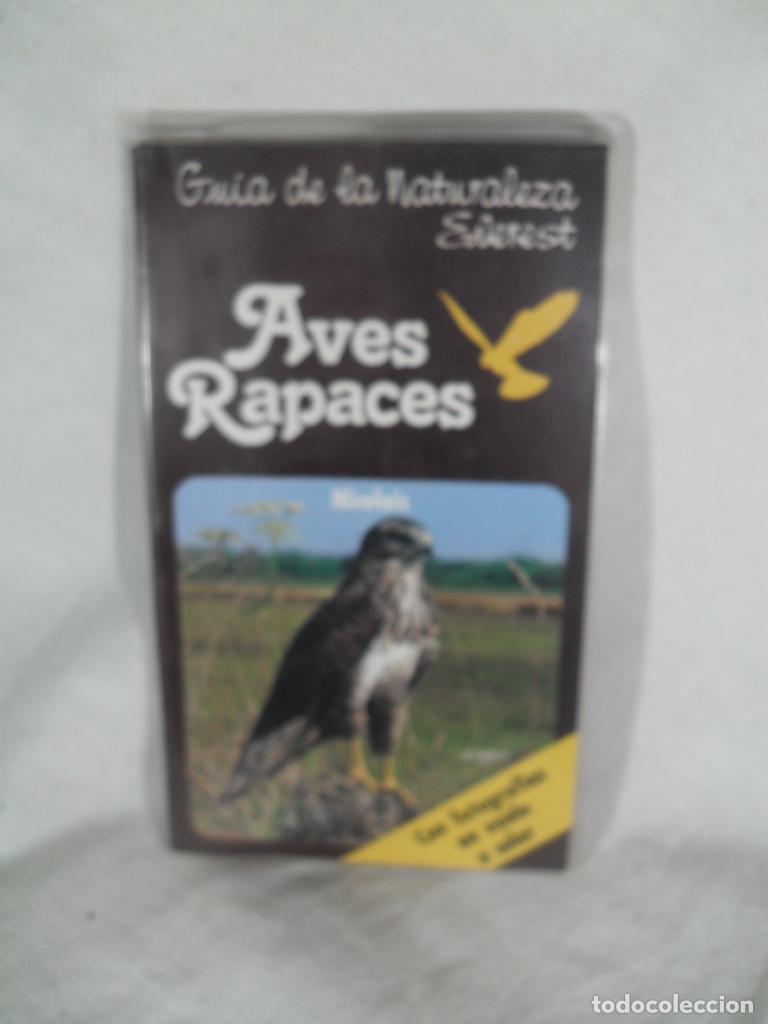 Libros: AVES RAPACES - VARIOS - Foto 1