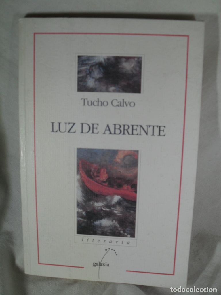 Libros: LUZ DE ABRENTE - TUCHO CALVO - Foto 1