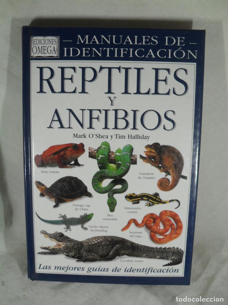 Libros: REPTILES Y ANFIBIOS - MARK O`SEAN - TIN HALLIDAY - Foto 1