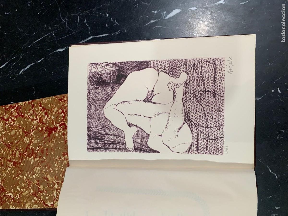 Libros: La gitanilla - Cervantes de Saavedra, Miguel - Foto 15