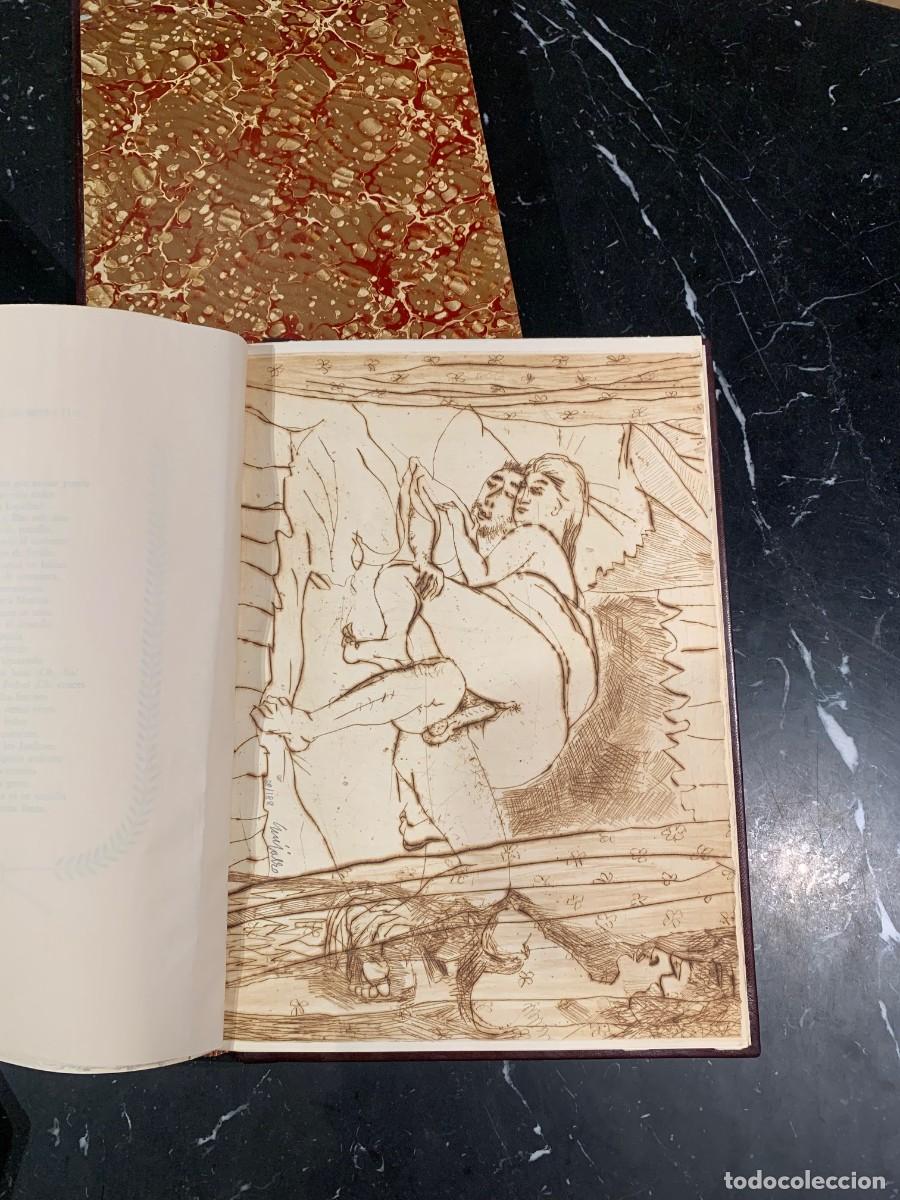 Libros: La gitanilla - Cervantes de Saavedra, Miguel - Foto 16