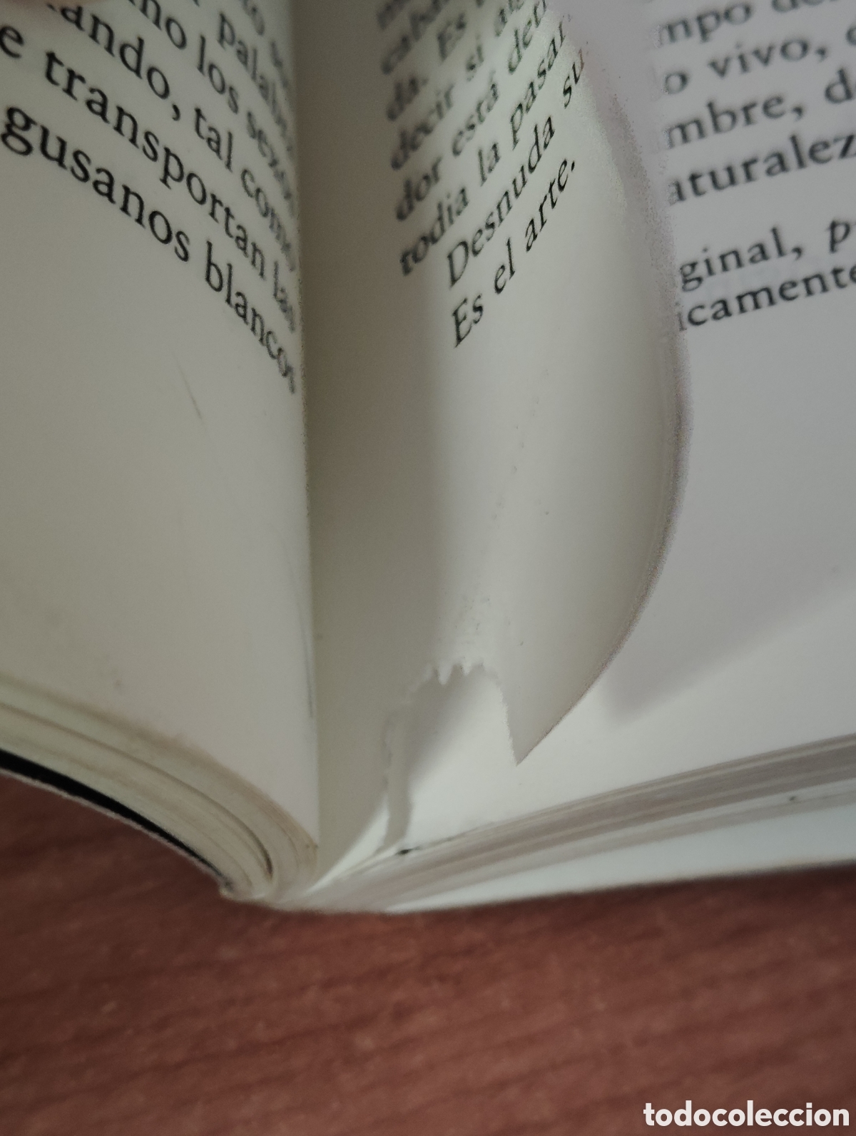 Libros: Las sombras errantes. Pascal Quignard. - Foto 3