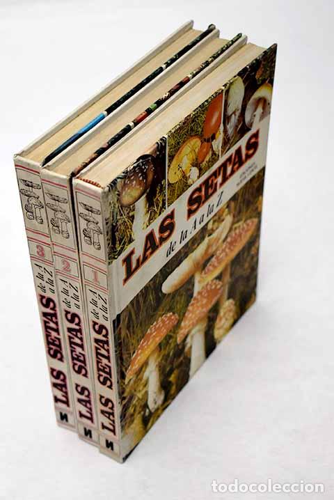 Libros: Las setas, de la A a la Z