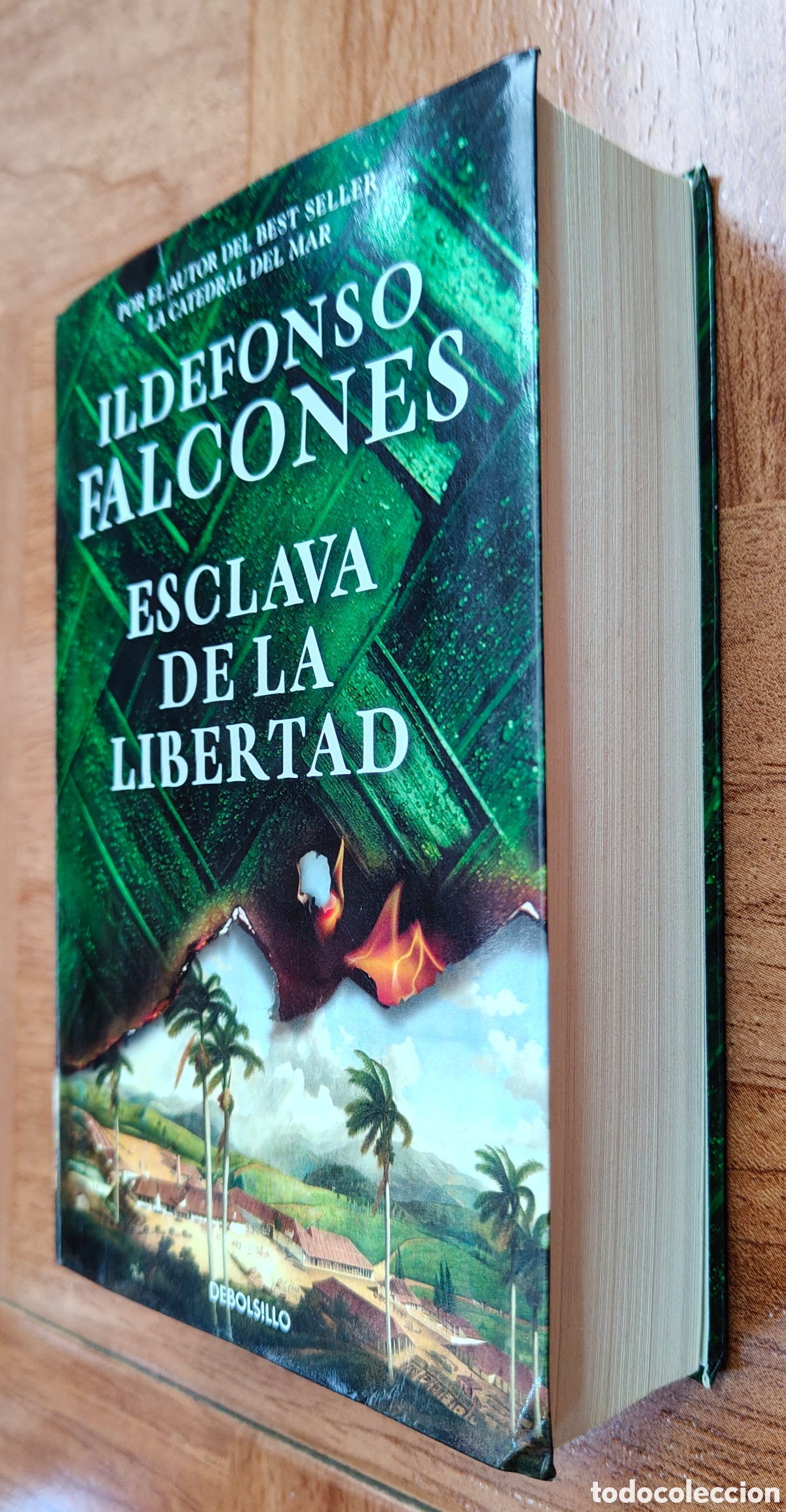 Libros: Esclava de la Libertad � Debolsillo - Ildefonso Falcones - Foto 2