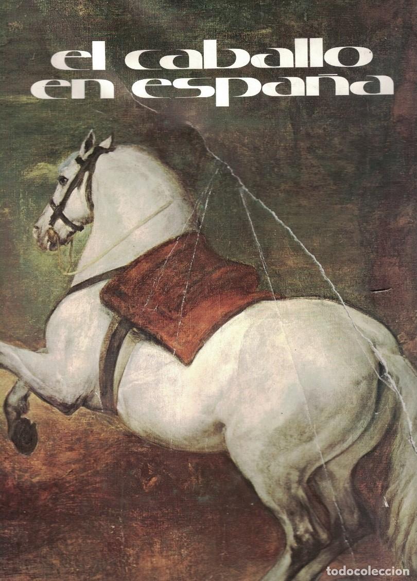 Libros: EL CABALLO EN ESPA&Ntilde;A. - AA.VV. - Foto 1