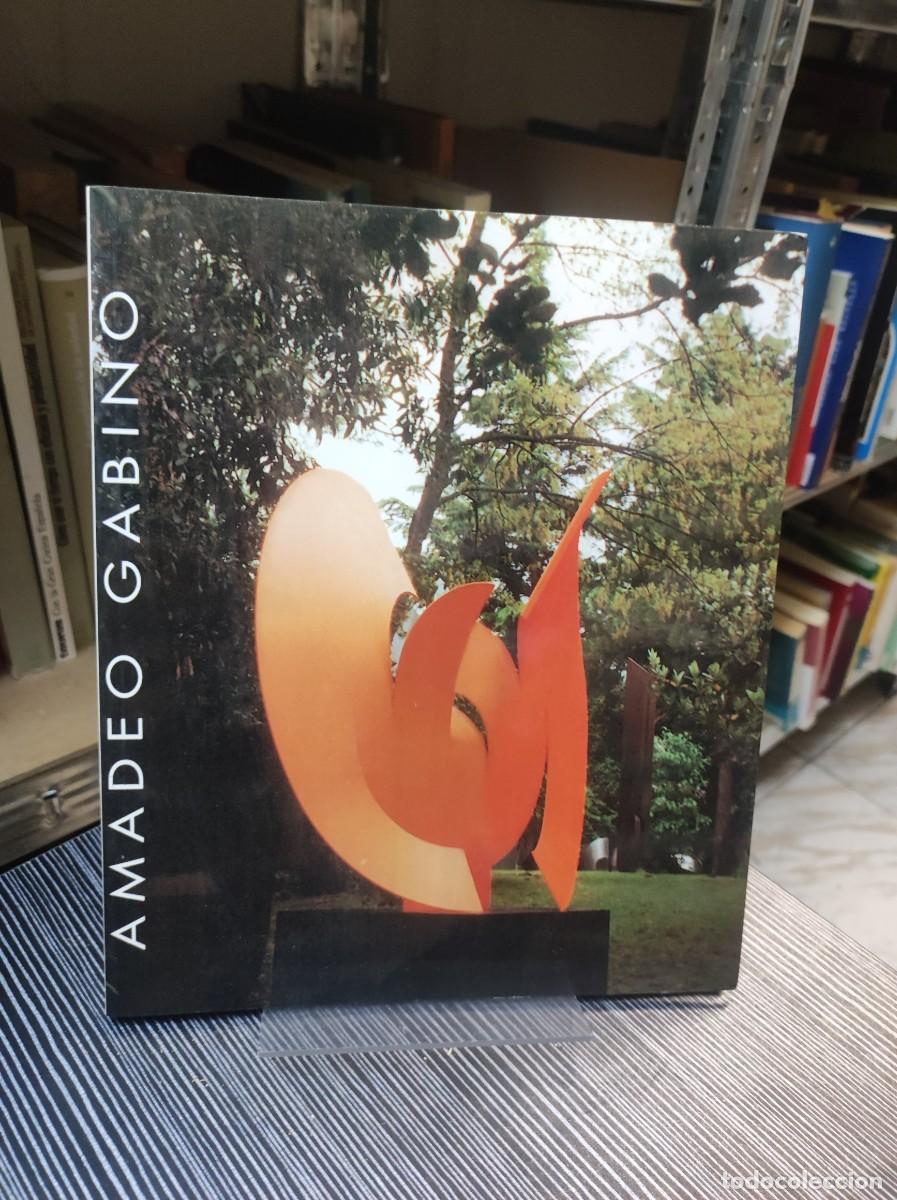 Libros: Amadeo Gabino. Sala Luz&aacute;n. Zaragoza. 2000 - Foto 1
